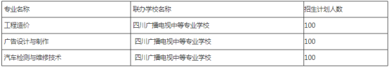 四川华新现代职业学院2019五年制招生计划